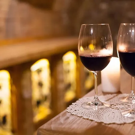 Maushaus Pensión Vemend