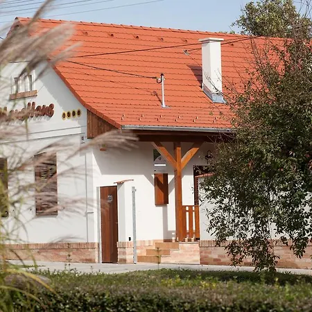Maushaus ゲストハウス