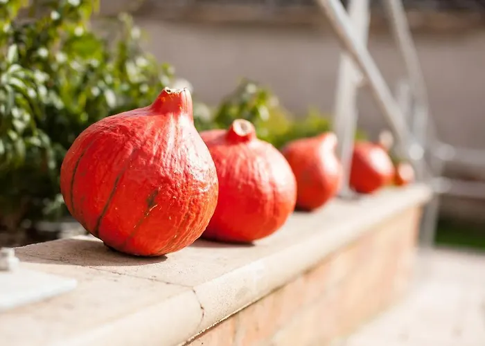 Πανσιόν Maushaus