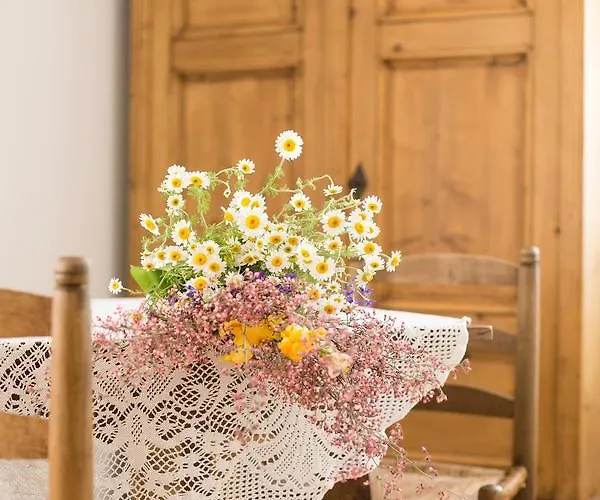 Maushaus Πανσιόν